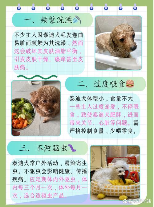 可愛狗狗名字大全