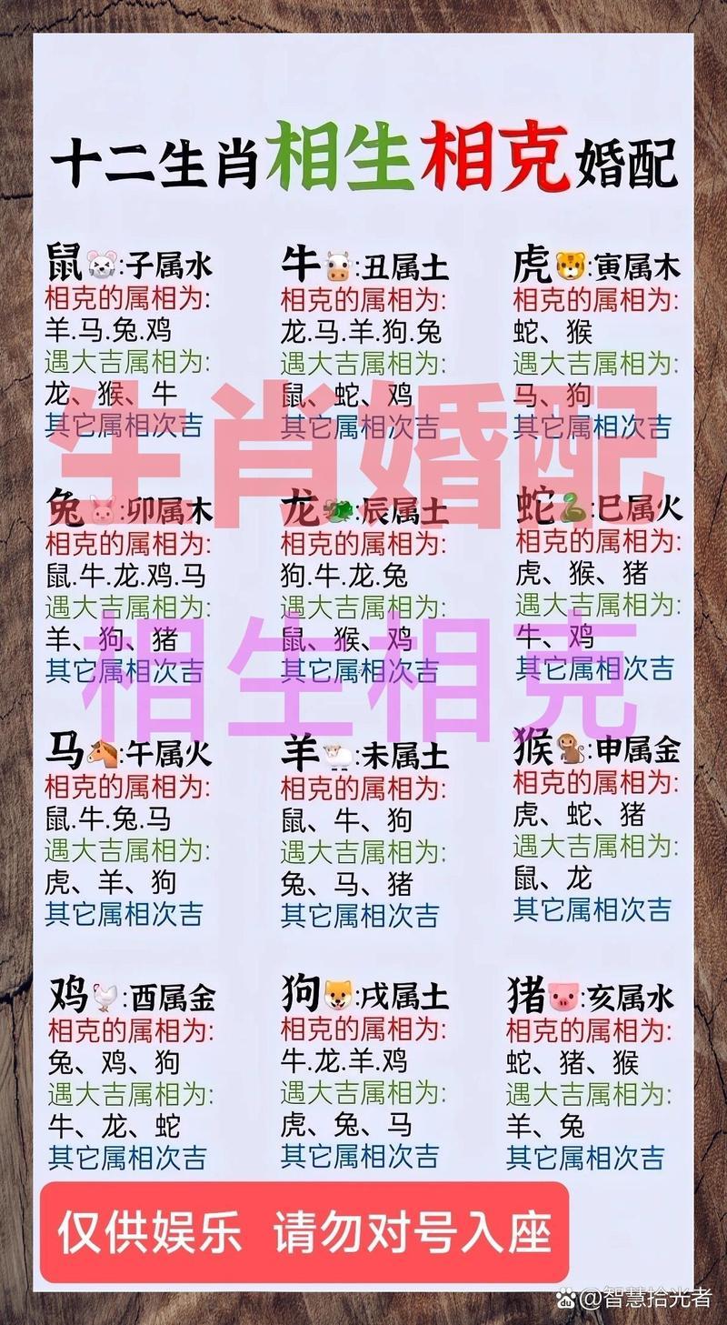 82年屬什么生肖