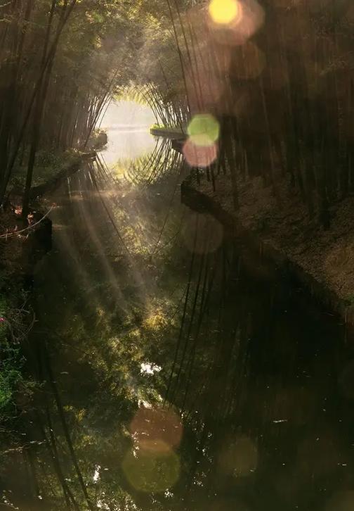 做三種夢不能告訴別人