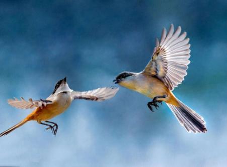 2026年4月開業(yè)吉日查詢