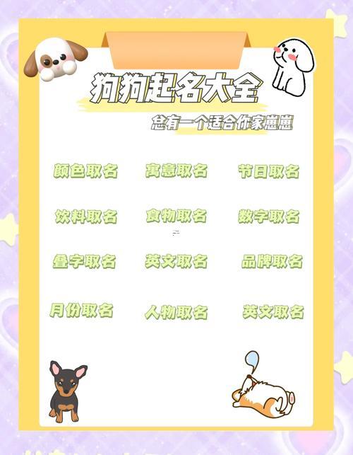 小狗的名字