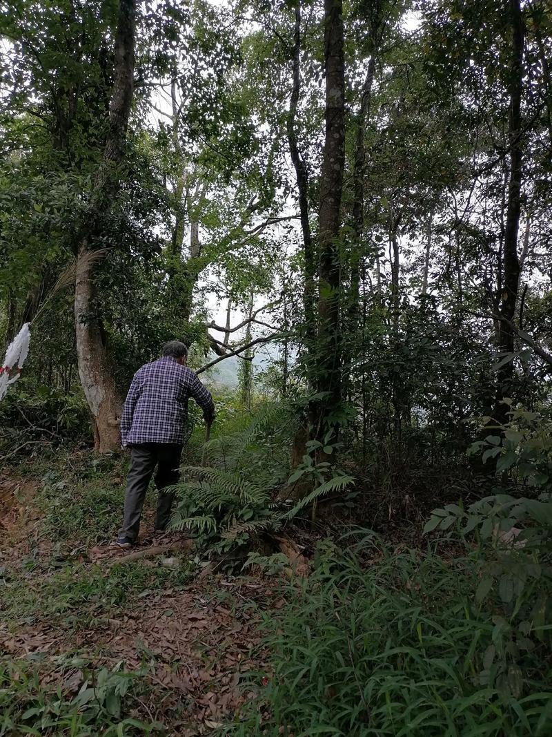 女人位什么不能拜財(cái)神